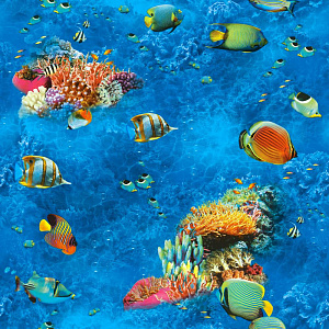 Саратовские Обои Немо С31-612В 01